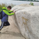 Ein Beschäftigen des LHW versucht, einen großen Stein, der am Elbstrand liegt, wegzuschieben.