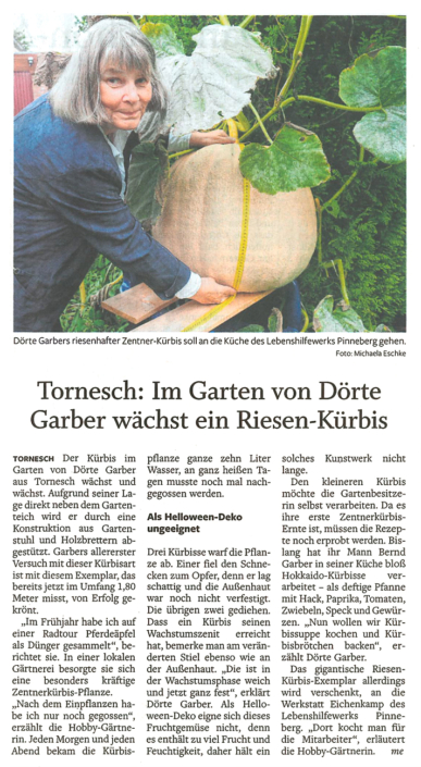 Artikel in den Uetersener Nachrichten vom 27.09.2021: Tornesch: Im Garten von Dörte Garber wächst ein Riesen-Kürbis